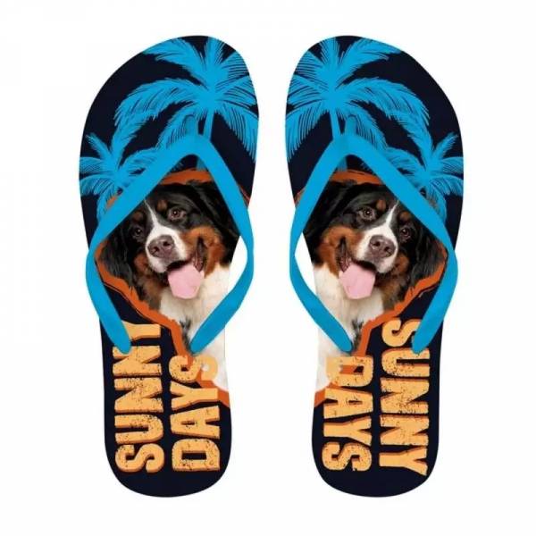 Flip Flops Berner Sennenhund 37-39